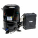 Tecumseh FH 2511 Z - XC 3 Hp Refrigeration Compressor R-404A