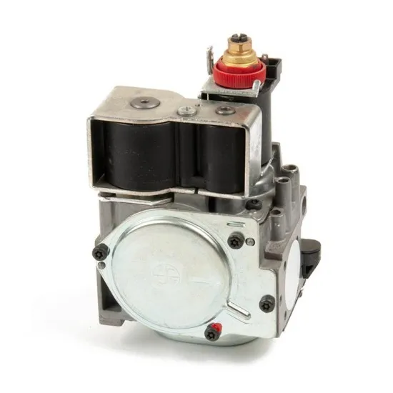 Bosch 843 Sigma Kombi Gaz Valfi 0843006