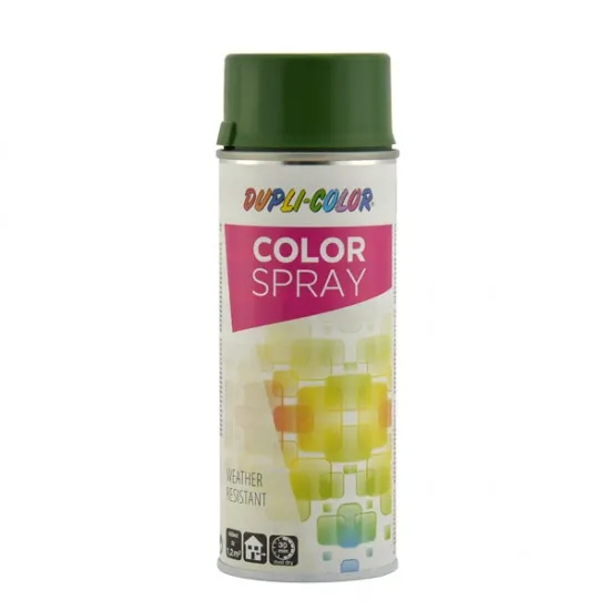Dubli-Color Color Spray Bahar Yeşili Ral 6002 (400ml)