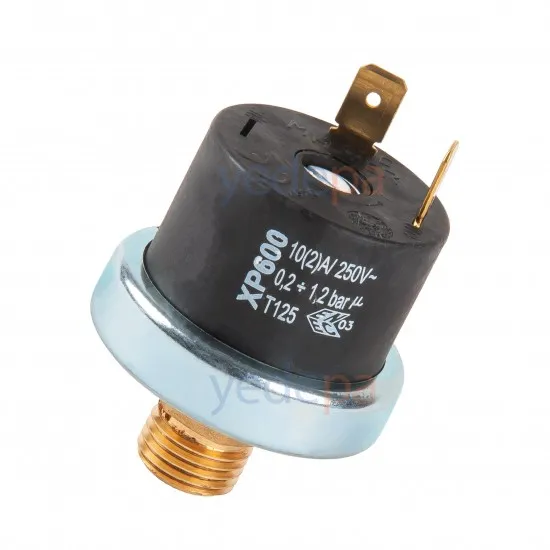 Ma-Ter XP600 Pirinç 1/4 Dişli Kombi Basınç Sondası - 2 Soket