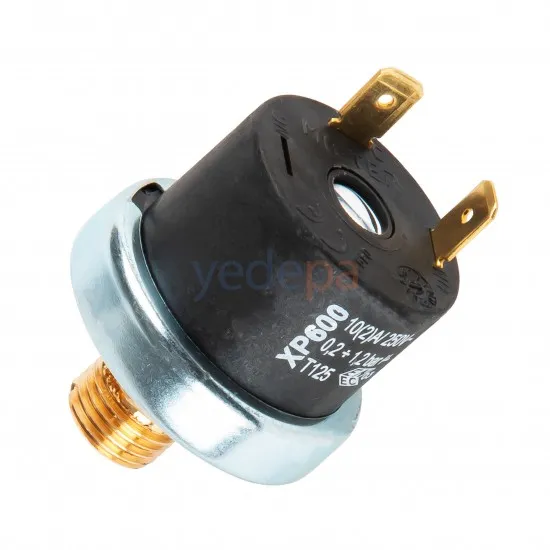 Ma-Ter XP600 Pirinç 1/4 Dişli Kombi Basınç Sondası - 2 Soket