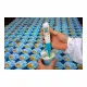 Testo 206 pH2 Yarı Katı Gıda pH Metre – Batırma Uçlu pH/Sıcaklık Ölçer, 0…14 pH, ±0,02 pH, TopSafe Kılıflı IP68 (0563 2062)