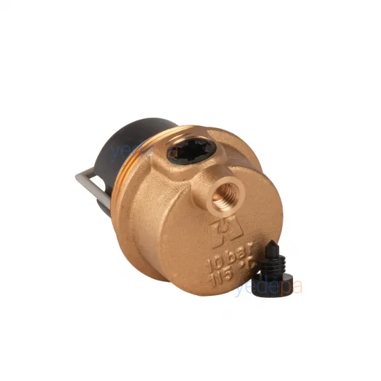 TS Valve TS5302 ავტომატური ჰაერის გამშვები 3/8 დიუმი – Baxi 248043, JJJ000607290, Sime 6013101, Saunier Duval S1005600 თავსებადი