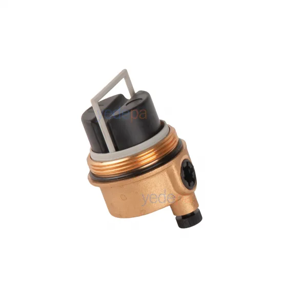 TS Valve TS5302 ავტომატური ჰაერის გამშვები 3/8 დიუმი – Baxi 248043, JJJ000607290, Sime 6013101, Saunier Duval S1005600 თავსებადი